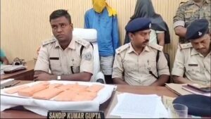 *2 साइबर अपराधी चढ़े पुलिस के हत्थे, वारदात को अंजाम देते रंगे हाथ पुलिस ने दबोचा, 9 मोबाइल फोन और दस्तावेज मौके से बरामद*